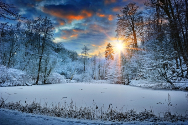 snow covered trees and frozen lake during winter